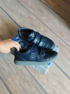 ������� �������� 37 ����