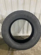 Tigar SUV Ice. ������, ����������, 2018 ���, �/�, ����� 45 % ����