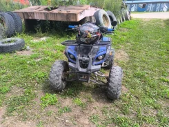 Grizzly Aerox. ��������, ��� ���\���, �� ����