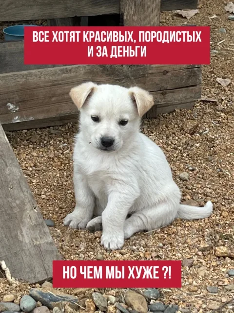 ������. ����