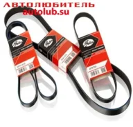 ������ ���������� ��� 2110 Gates 68344 6PK 738 6PK738 ����