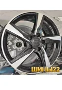 ������ B201