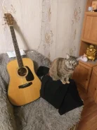 ������ ������������. ����