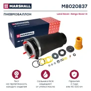 ������������ | ����� ��� | Marshall M8020837 M8020837 ����