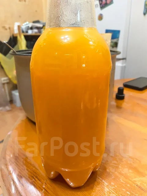 ����. ��� ����� �� ���������� ����