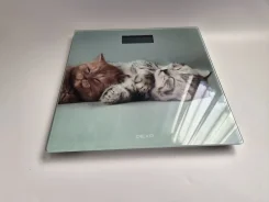 ���� ���������. ����