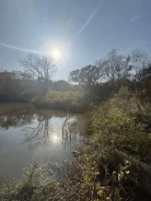 ��������� ������� �. ����������� ���������� ����. 100����., ������������� ����
