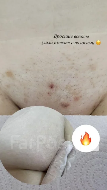 �������� ��������. ����