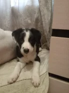 ������������ �������������. ����