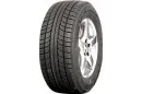 Triangle Snow Lion TR777