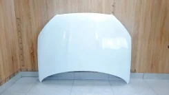 ����� Nissan Qashqai J10 2010-2014 F5100BR0MC ����