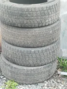 NorthTrek N2. ������, ��� �����, �/�, ����� 35 % ����