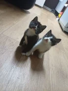 �����. ����
