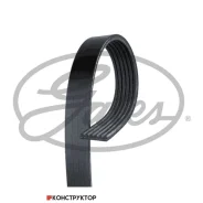 ������ ���������� Gates 6 PK 1305 Gates 6PK1305 6PK1305 ����