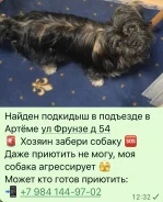 ������. ����