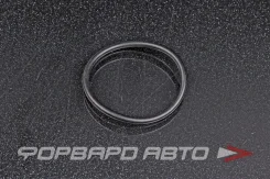 ������ �������������� ������������ 32*2,5 NOK OR-02.50_032.00 OR025003200 ����