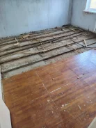 ������ � ���� ����