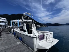 Yamaha FC-31. ����� 10,6��., ��������� ������������, 240��.�., ������. ��� ����� �� ������������ ����