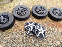 Dynamo Snow-H. ������, ��� �����, 2024 ���, �/�, ����� �� 5 % ����