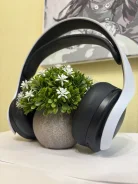 Sony WH-CH520 ����