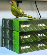 RTX 5060 Ti ����