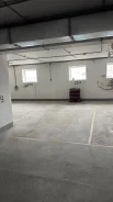 ����� �����������. ����