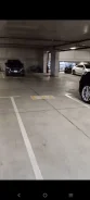 ����� �����������. . ��� ������ ����