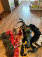 ����� ��������� ������� ��������� �/� ����