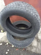 Dunlop All Season Maxx AS1. ������, ����������, 2021 ���, �/�, ����� 10 % ����