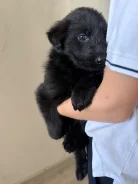 ������� � ������ ���� ����