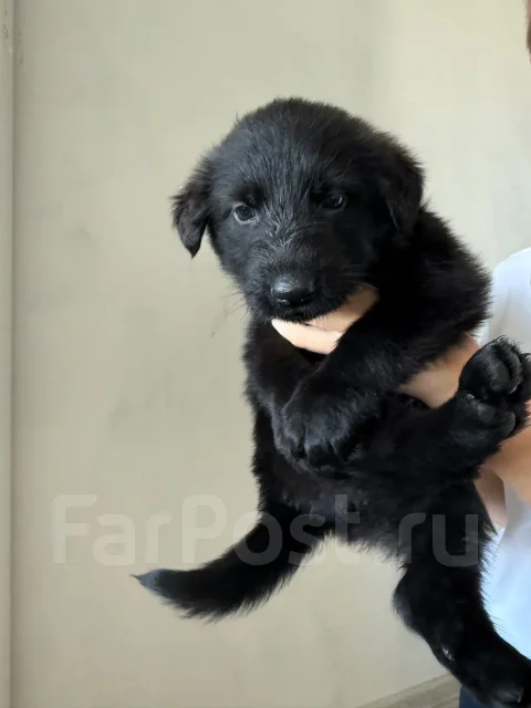 ������� � ������ ���� ����