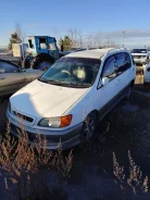 Toyota Ipsum ����