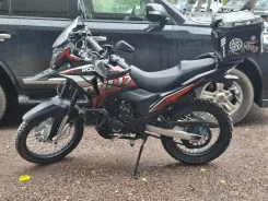 Roliz Sport-002. 300����. ��., ��������, ���������, ������ �� �� ����