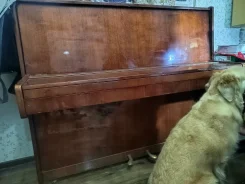 ����� ������� "��������" ����