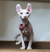 ��������� ������. ����