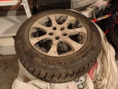 Roadstone Winguard 231. ������, ����������, 2013 ���, �/�, ����� 5 %. ���������� (������) ����