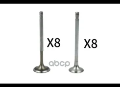 �������� �������� Borsehung ���. B18630 B18630 ����