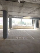 ����� �����������. ����