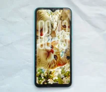 Xiaomi Redmi 9. �/�, 32 ��, ���������, 3G, 4G LTE, Dual-SIM, NFC ����