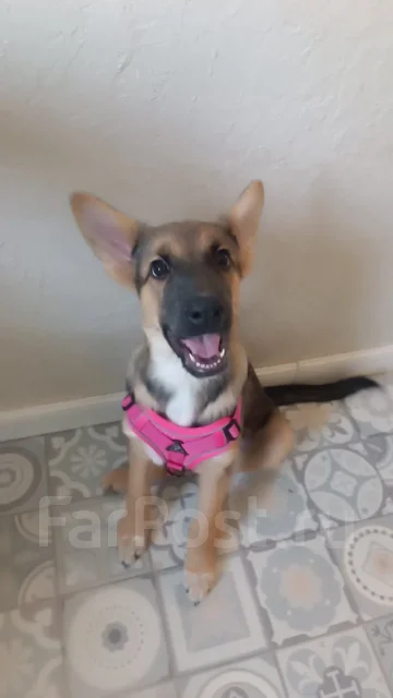 ������. ����