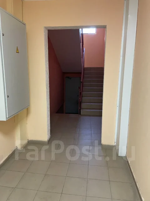 ������, ����� ������������ 25. �������� (�����), ������� ����, 29���.��., 1/3 ����, ������������ ������. ������� ������ ����