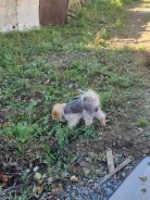 �� ��������� ��? ����