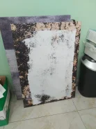 ������� ������� �� ��������� ����