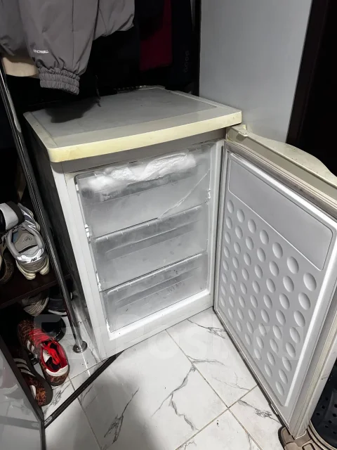 ������ �����������. ����