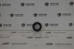 ������� ���������� (�������) ��� 374100170121003 374100170121003 ����