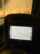 ����� ����