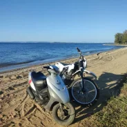 Suzuki Lets 2. 50����. ��., ��������, ���������, ������ �� �� ����
