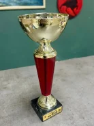 ����� ��������� ���� "Best in Group" �/� ����