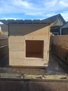 �����. ����