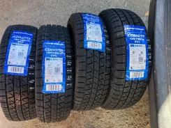 Compasal IceMaster. ������, ��� �����, 2026 ���, ����� ����